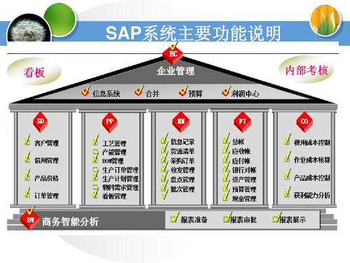 SAP系统.jpg